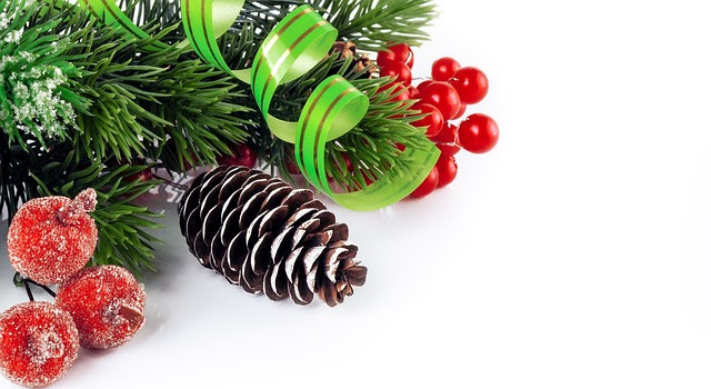 I’ll Be At the Dundee Dems’ Christmas&nbsp;Party!